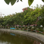 綿陽陽光職業(yè)技術學校