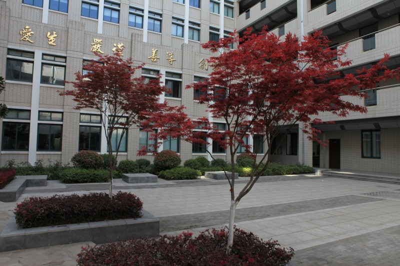 南京衛(wèi)生高等職業(yè)技術(shù)學(xué)校怎么樣、好不好