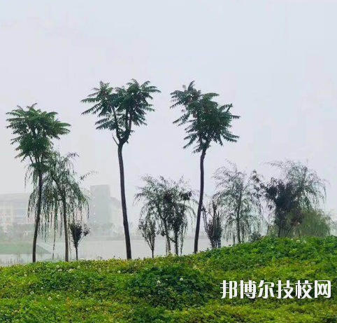 甘肅財貿(mào)職業(yè)學(xué)院2020年學(xué)費、收費多少
