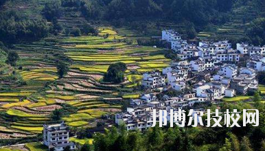江西婺源茶葉學(xué)校2020年報(bào)名條件、招生要求、招生對(duì)象