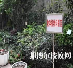 重慶風(fēng)景園林技工學(xué)校怎么樣、好不好