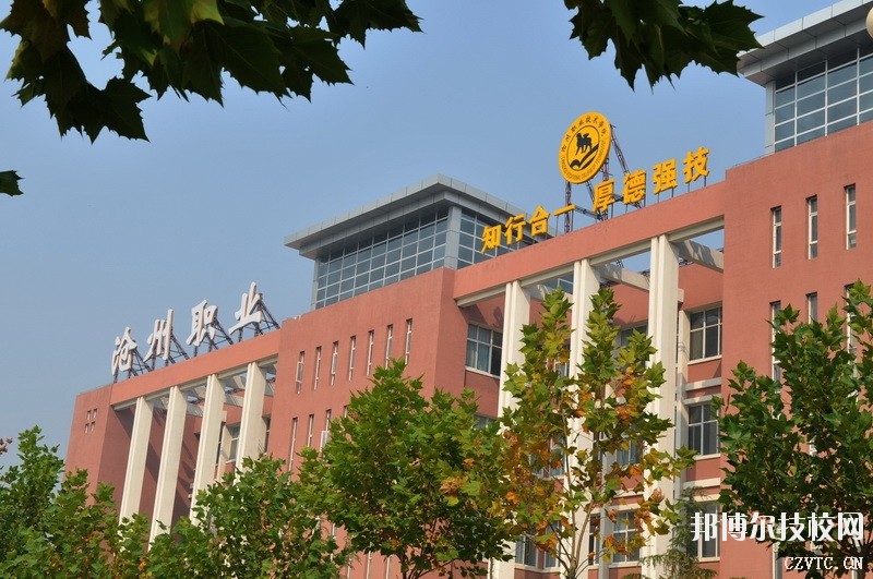 滄州職業(yè)技術(shù)學(xué)院2020年招生錄取分數(shù)線