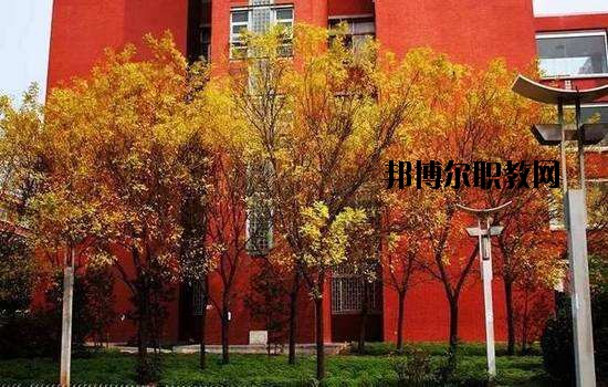 鶴峰職業(yè)技術(shù)學(xué)校2020年報(bào)名條件、招生要求、招生對(duì)象