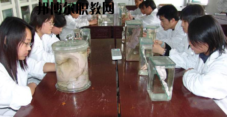 隴南農業(yè)學校2020年招生辦聯系電話