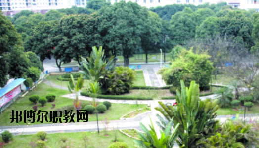廣西百色農(nóng)業(yè)學(xué)校2020年報(bào)名條件、招生要求、招生對象 