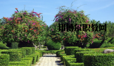 甘南畜牧學校怎么樣、好不好