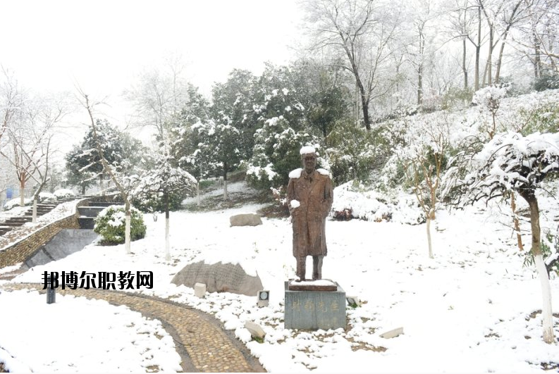 南京工業(yè)大學(xué)2020年報(bào)名條件、招生要求、招生對象