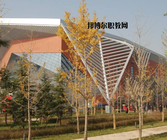 宜昌體育運(yùn)動(dòng)學(xué)校怎么樣、好不好