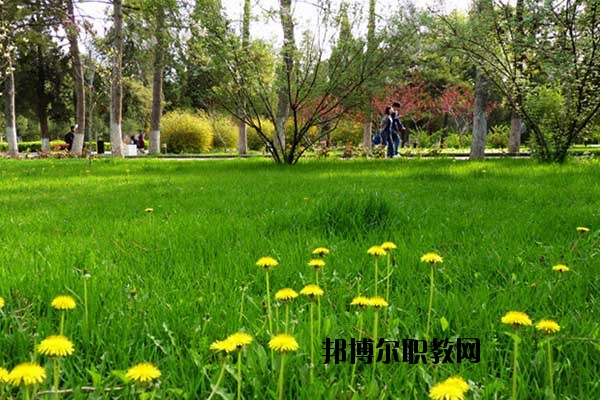 雙江縣職教中心怎么樣、好不好