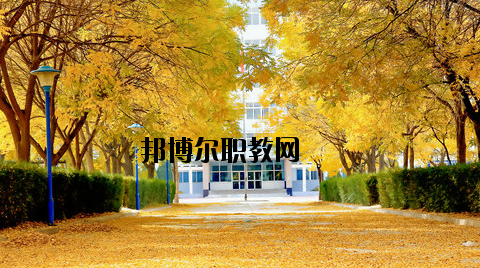 甘肅化工技工學(xué)校2020年招生錄取分?jǐn)?shù)線(xiàn)