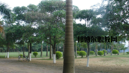 合浦石康職業(yè)技術(shù)學校怎么樣、好不好