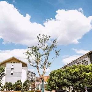 南京科技職業(yè)學(xué)院怎么樣、好不好