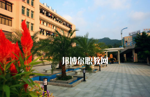 廣東省林業(yè)職業(yè)技術(shù)學(xué)校2020年報名條件、招生要求、招生對象