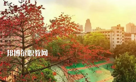 廣東省商業(yè)職業(yè)技術學校怎么樣、好不好