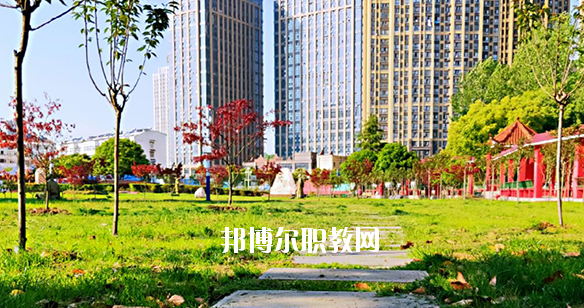 合肥飛躍學校2020年報名條件、招生要求、招生對象 