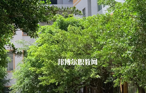 惠州惠陽財經(jīng)外貿(mào)職業(yè)技術(shù)學(xué)校怎么樣、好不好