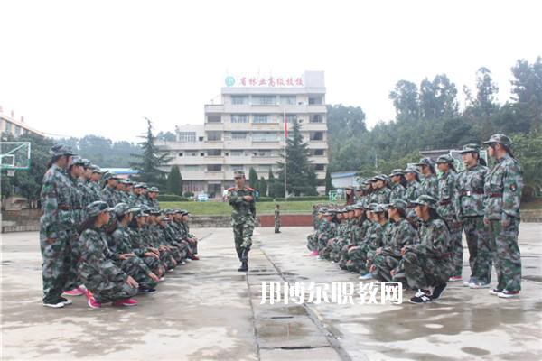 云南林業(yè)高級(jí)技工學(xué)校2021年學(xué)費(fèi)、收費(fèi)多少