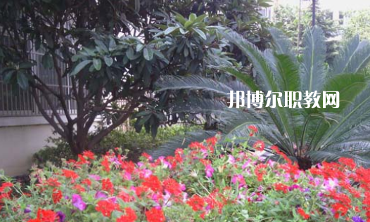 臨泉縣靖波信息技術(shù)學校網(wǎng)站網(wǎng)址