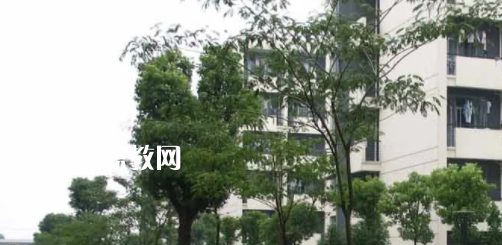 安徽工商行政管理學(xué)校怎么樣、好不好