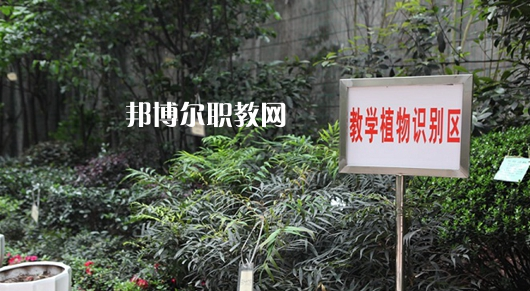 重慶風(fēng)景園林技工學(xué)校2022年學(xué)費(fèi)、收費(fèi)多少