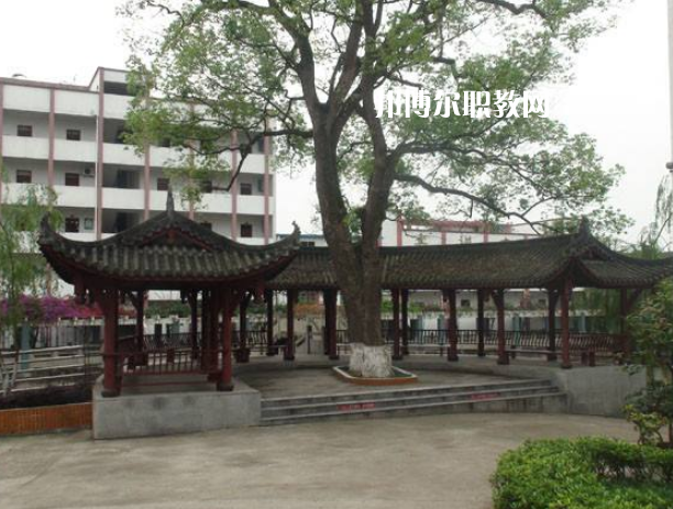 四川合江先市職業(yè)高級中學校怎么樣、好不好