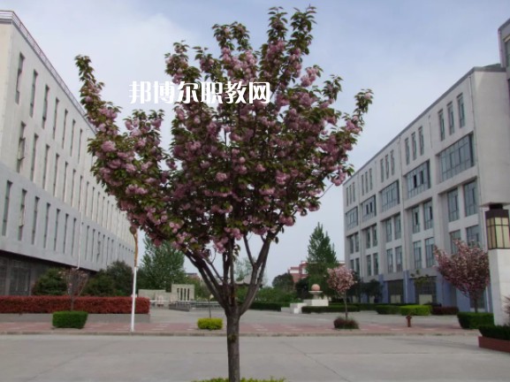 陳倉(cāng)區(qū)職業(yè)教育中心2022年報(bào)名條件、招生要求、招生對(duì)象