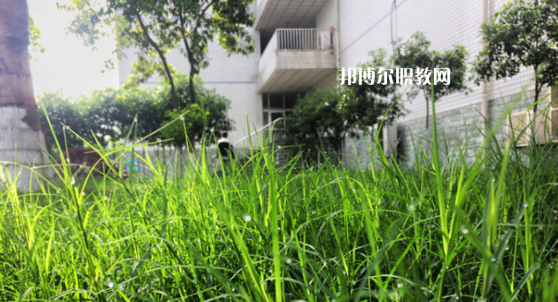 樂(lè)山計(jì)算機(jī)學(xué)校2022年學(xué)費(fèi)、收費(fèi)多少
