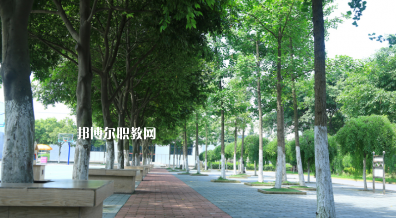 鎮(zhèn)雄縣職業(yè)高級中學(xué)2022年報名條件、招生要求、招生對象