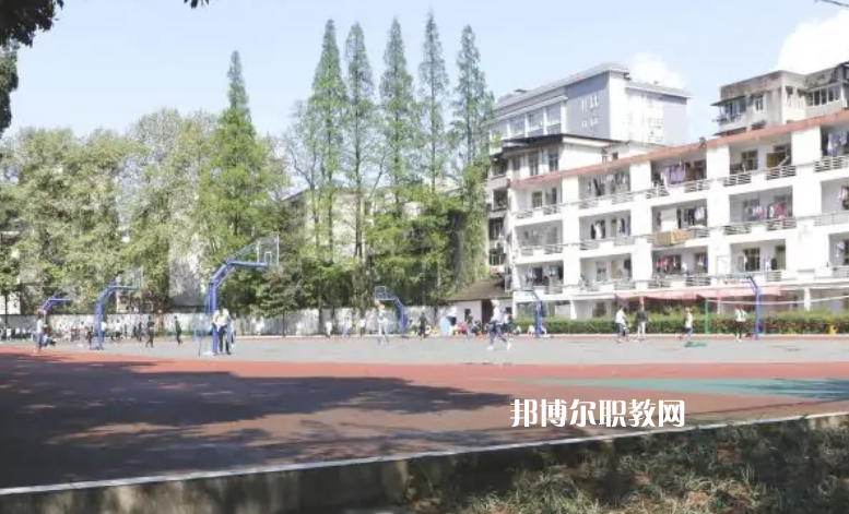 四川省檔案學(xué)校2022年報(bào)名條件、招生要求、招生對象