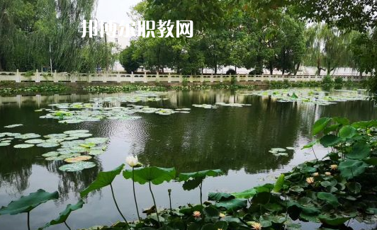 武漢新洲高級職業(yè)中學2022年招生辦聯系電話