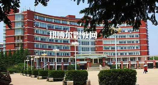 2023年青島本地大專(zhuān)院校排行榜