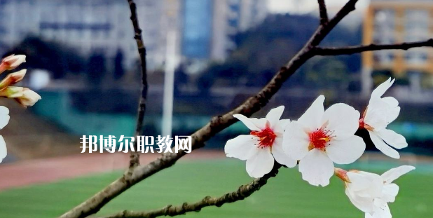 2023眉山技師學(xué)院招生計劃 招生人數(shù)是多少(附要求、條件、對象)