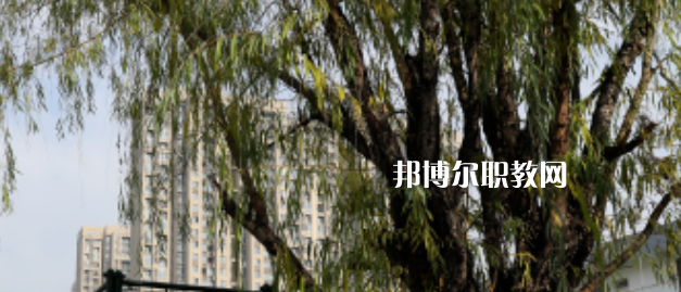 西安東方藝術(shù)職業(yè)學(xué)校地址在哪里，哪個地區(qū)，哪個城市?