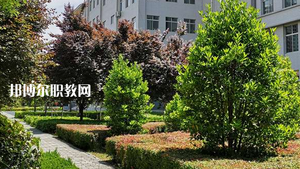 2023渭南技師學(xué)院招生計(jì)劃 招生人數(shù)是多少(附要求、條件、對象)