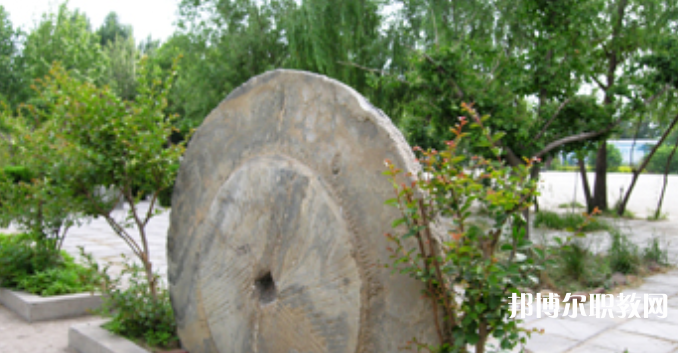 野風(fēng)美術(shù)中學(xué)怎么樣、好不好