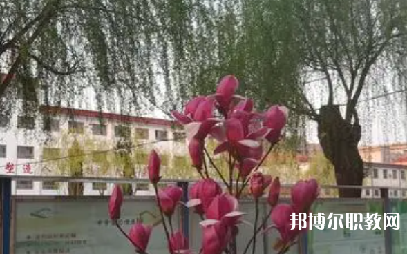 2023柏鄉(xiāng)縣職教中心招生計(jì)劃 招生人數(shù)是多少(附要求、條件、對(duì)象)