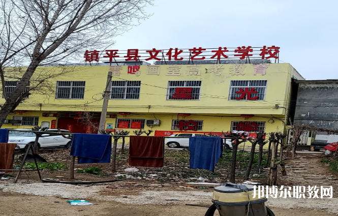 鎮(zhèn)平縣文化藝術學校網(wǎng)站網(wǎng)址主頁