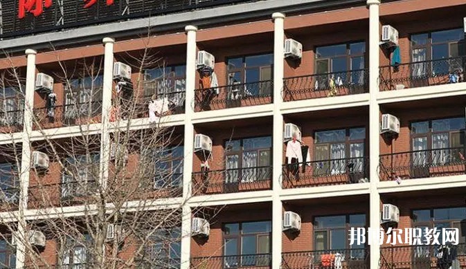 2024大連國際舞蹈學校招生計劃 招生人數(shù)是多少(附要求、條件、對象)