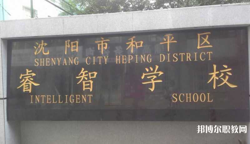 沈陽市和平區(qū)睿智學校怎么樣、好不好